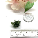 Besednice Moldavite Hedgehogs ( Extremely Rare )