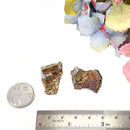 Bismuth Specimen (Transformation)