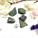 Black Zebra Jasper Rough (Balance the yin and yang)