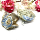 Blue Lace Agate Rough (Public Speaking)