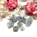 Blue Lace Agate Rough (Public Speaking)