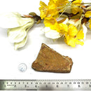 Blue Tiger Eye Rough (Hawks Eye)