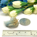 Blue Barite Specimen from Morocco