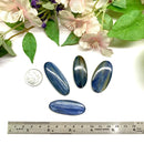 Blue Kyanite Cabochons