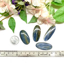 Blue Kyanite Cabochons