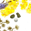 Boji Stone (Pair) ( To heal energy blockages)