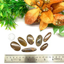 Boulder Opal Cabochon