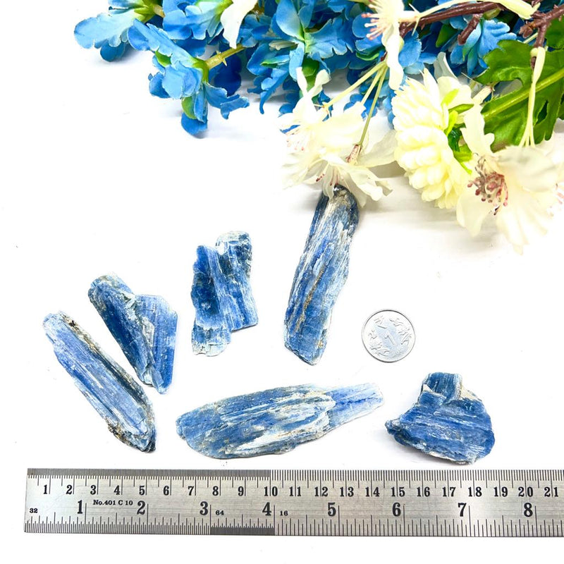 Blue Kyanite from Brazil Rough (Aura Cleansing)