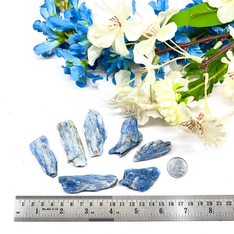 Blue Kyanite from Brazil Rough (Aura Cleansing)