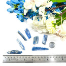 Blue Kyanite from Brazil Rough (Aura Cleansing)
