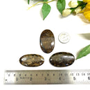 Bronzite Cabochon (Decision Making)