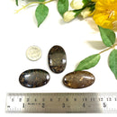 Bronzite Cabochon (Decision Making)