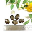 Bronzite Cabochon (Decision Making)