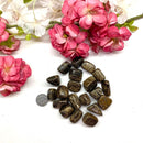 Bronzite Tumble (Removes Self Doubt)