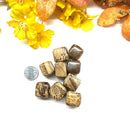 Brown Aragonite Tumbles (Release Anxiety & Stress)