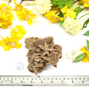 Brown Desert Rose Clusters