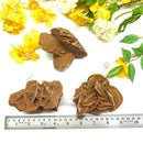 Brown Desert Rose Clusters
