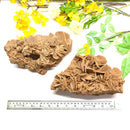 Brown Desert Rose Clusters