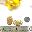 Brown Aragonite Cabochon