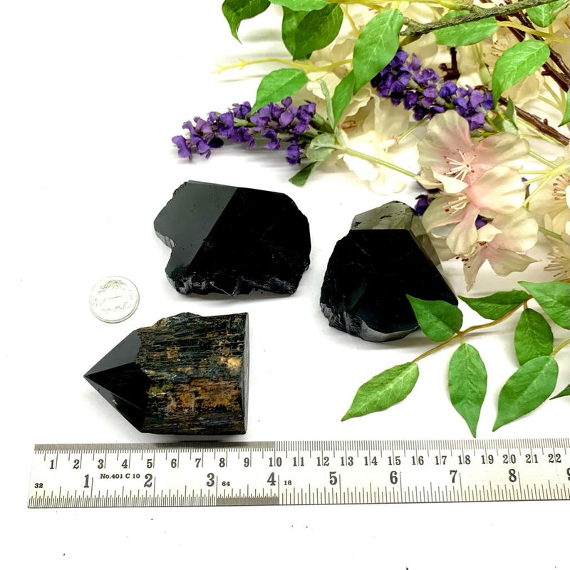 Black Tourmaline Free Forms with Polished Points (Protection and Grounding)