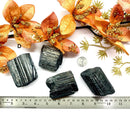 Black Tourmaline Rough Elite (Grounding & Protection)