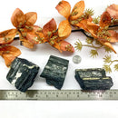 Black Tourmaline Rough Elite (Grounding & Protection)