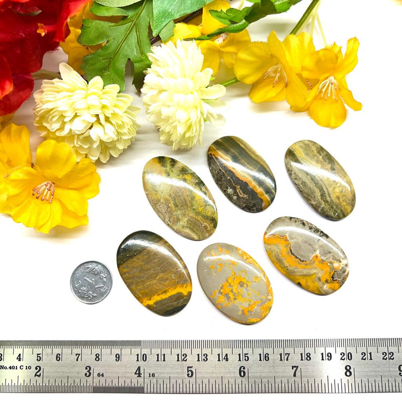 Bumble Bee Jasper Cabochon (Deal with change)