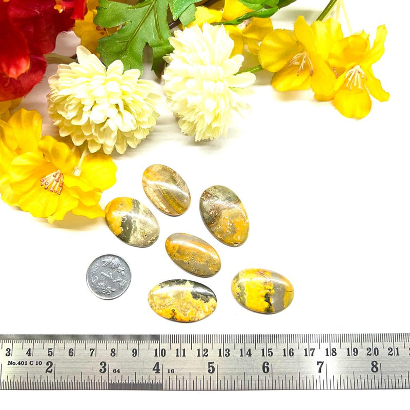 Bumble Bee Jasper Cabochon (Deal with change)