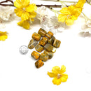 Bumble Bee Jasper Tumble (Positivity and Optimism)