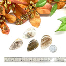 Cacoxenite Cabochons (Raising Consciousness)