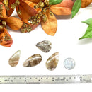 Cacoxenite Cabochons (Raising Consciousness)