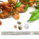 Cacoxenite Cabochons (Raising Consciousness)