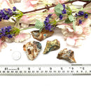 Calcite with Apatite  Rough (Motivation)