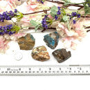 Calcite with Apatite  Rough (Motivation)