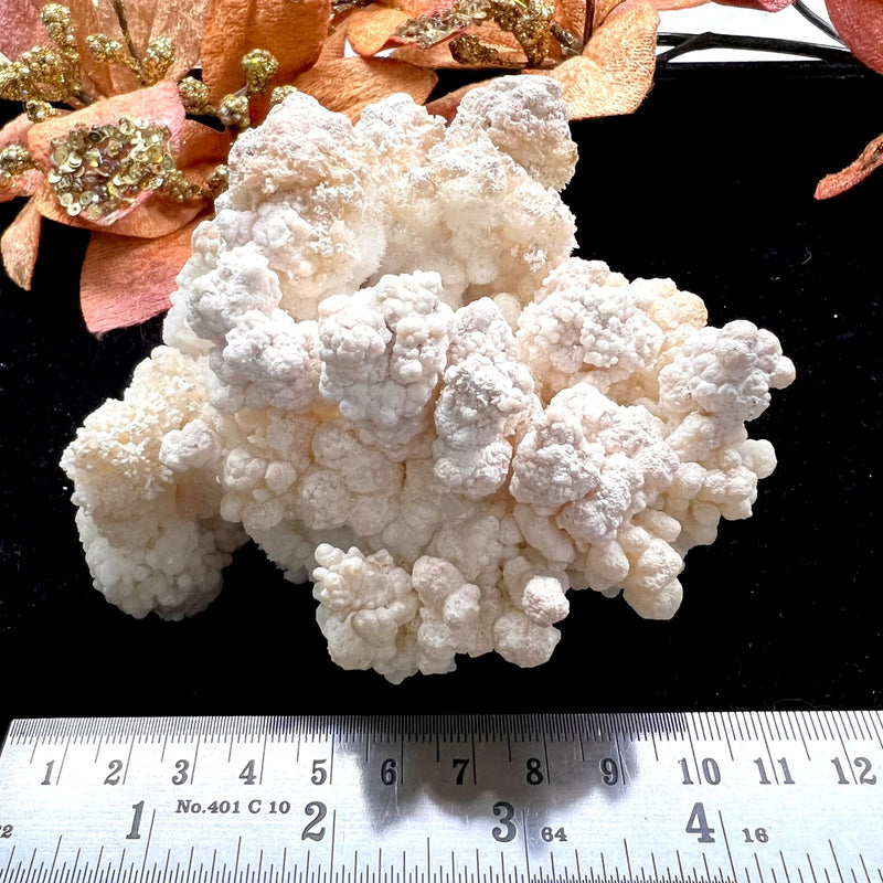 White Calcite  Flower Mineral Specimen
