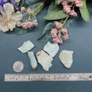 Caribbean Calcite Rough (Raise Consciousness)