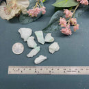 Caribbean Calcite Rough (Raise Consciousness)