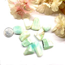 Caribbean Calcite Tumbles (Astral Travel)