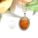 Carnelian Pendants Premium Collection in Silver