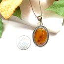 Carnelian Pendants Premium Collection in Silver