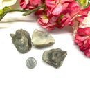 Cats Eye Rough (Brazil) (Talisman for protection)