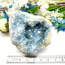 Large Celestite Clusters (Astral Travel and Intuition)
