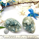 Celestite Egg (Astral Travel)