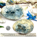 Celestite Egg (Astral Travel)
