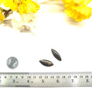 Chiastolite/Andalusite Cabochons (Balance)