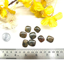 Chiastolite/Andalusite Cabochons (Balance)