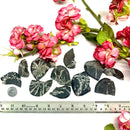 Chrysanthemum  Rough (Synchronicity)