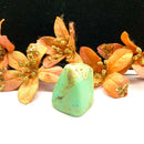 Chrysoprase Free Forms
