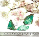 Chrysoprase Rough (Love and Abundance)