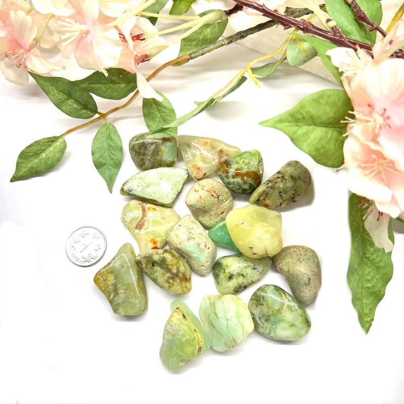 Chrysoprase Tumble Regular Quality (Emotional Comfort and Love)